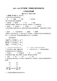 河北省沧州市盐山县2022-2023学年七年级下学期期末生物试题（含答案）