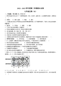 河北省邯郸市大名县2022-2023学年七年级下学期期末生物试题（含答案）