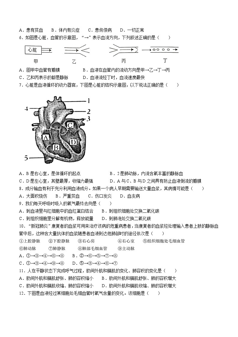 河北省秦皇岛市海港区2022-2023学年七年级下学期期末生物试题（含答案）第2页