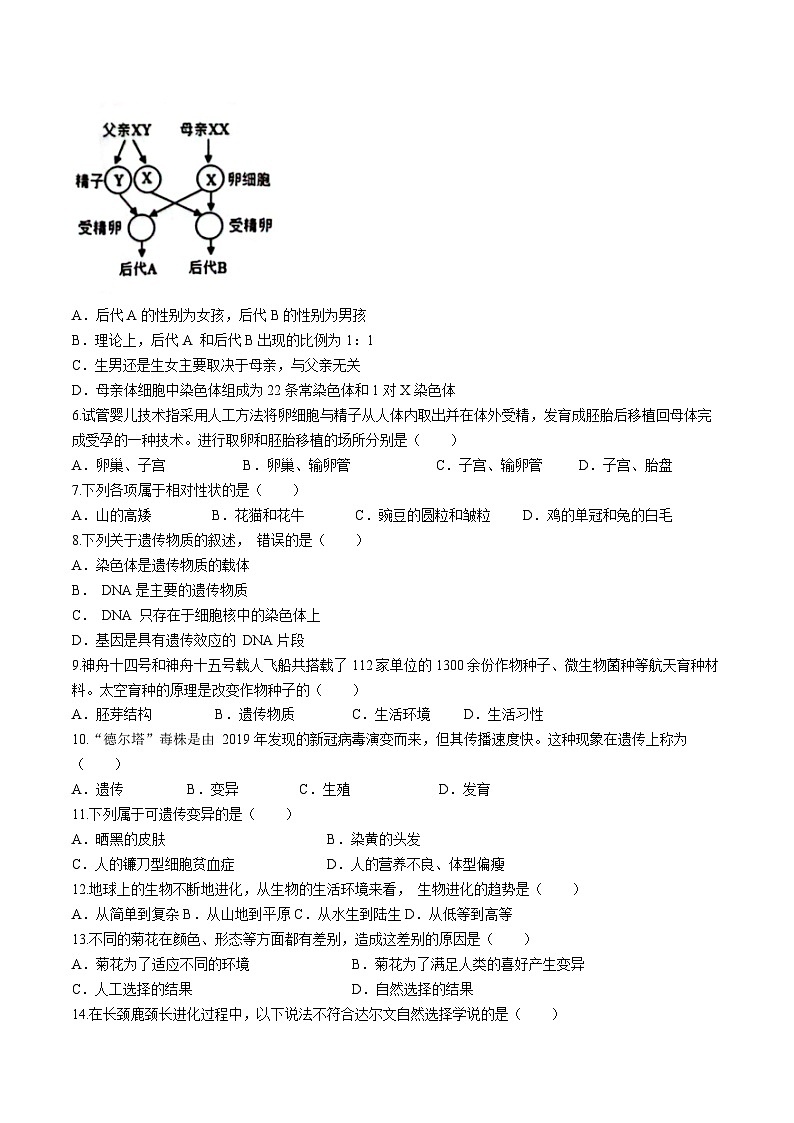 河北省邯郸市大名县2022-2023学年八年级下学期期末生物试题（含答案）第2页