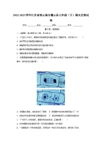 江苏省连云港市灌云县2022-2023学年七年级下学期期末学业质量监测生物试卷（含答案）