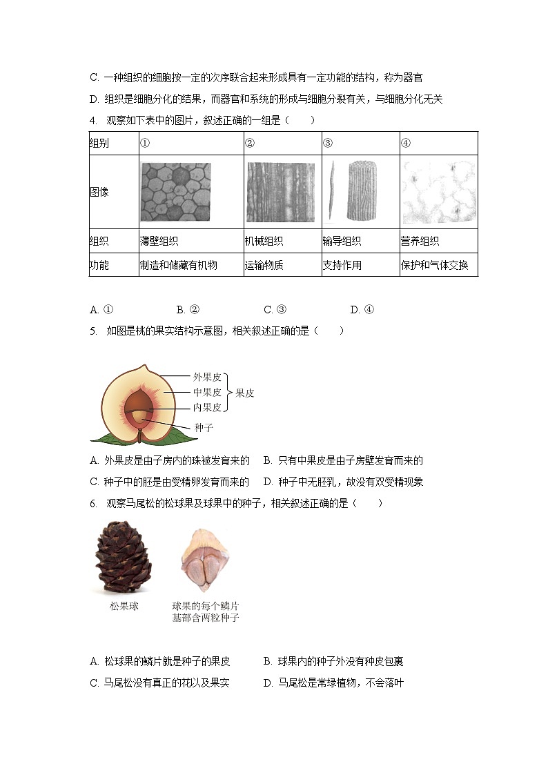 江苏省连云港市灌云县2022-2023学年七年级下学期期末学业质量监测生物试卷（含答案）第2页