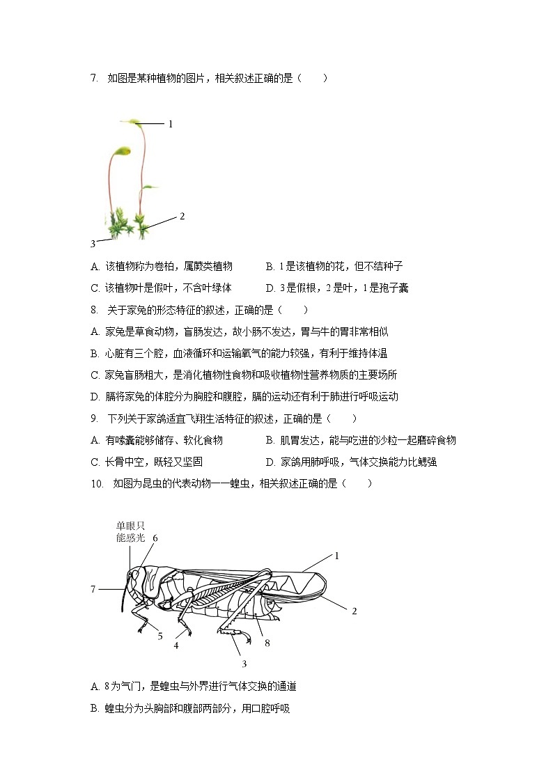 江苏省连云港市灌云县2022-2023学年七年级下学期期末学业质量监测生物试卷（含答案）第3页