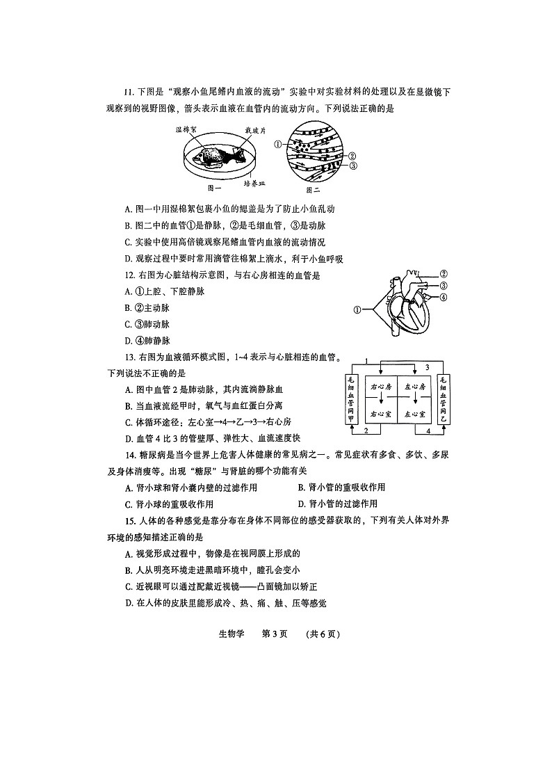 河南省濮阳市2022-2023学年七年级下学期7月期末生物试题（图片版含答案）第3页