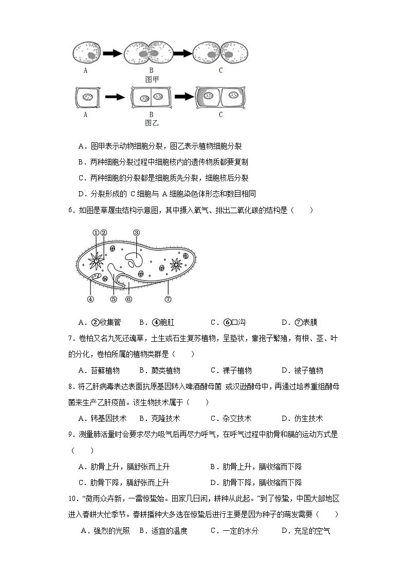 2023年广东省台山市中考一模生物试题（含解析）02