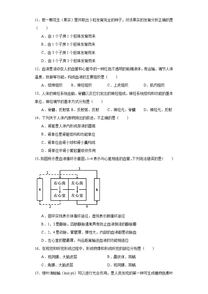 2023年广东省台山市中考一模生物试题（含解析）03