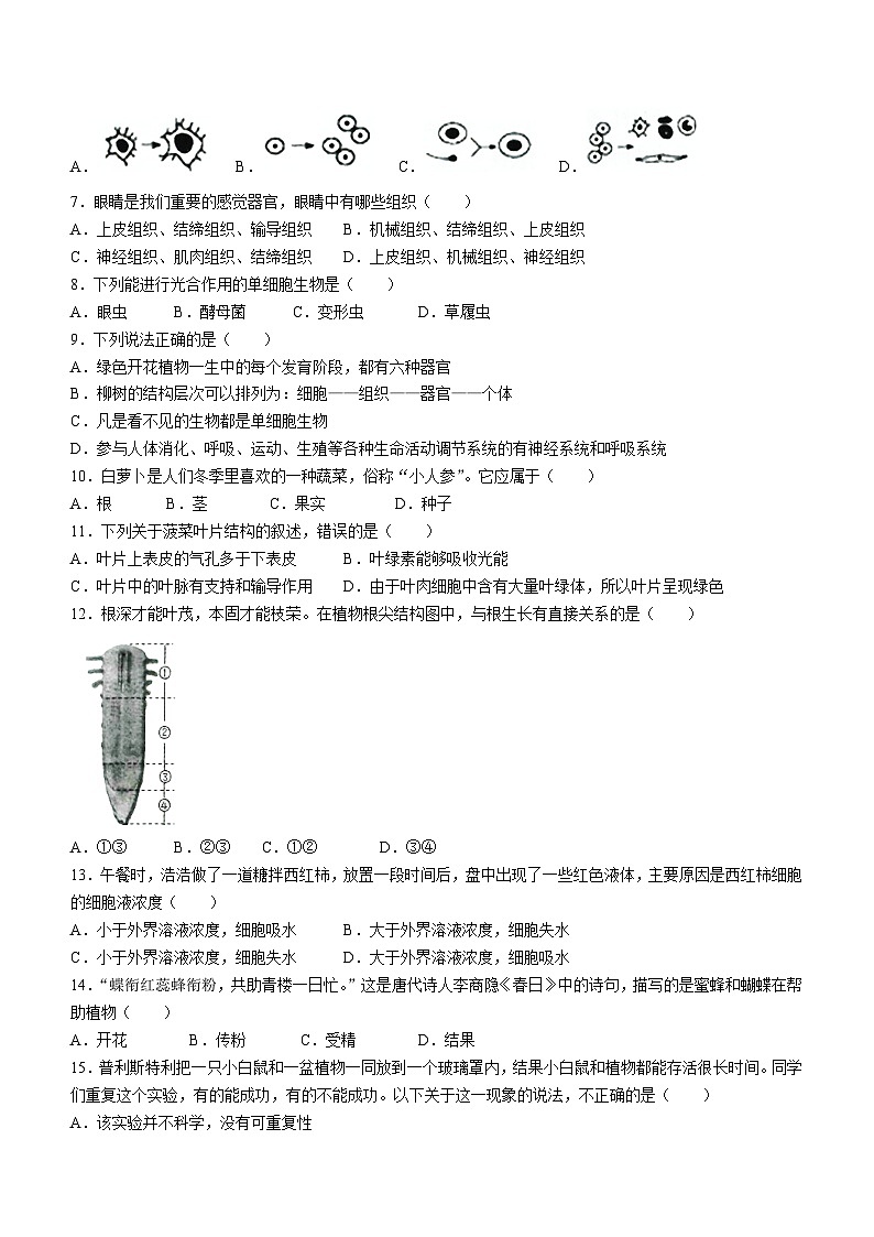 山西省晋城市阳城县2022-2023学年七年级上学期期末生物试题（含答案）02