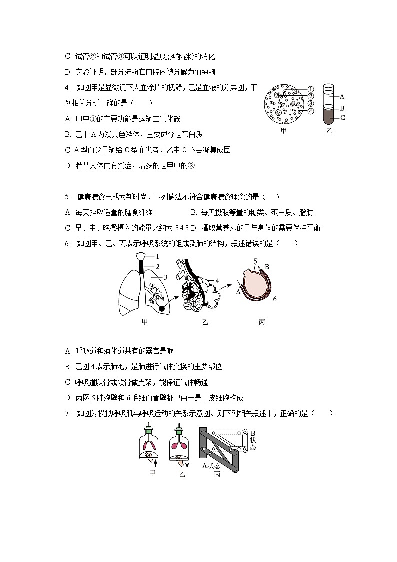 2022-2023学年山东省济南市槐荫区七年级（下）期末生物试卷（含解析）第2页