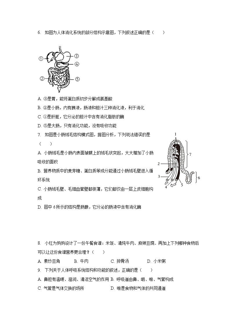 2022-2023学年山东省日照市开发区七年级（下）期末生物试卷（含解析）第2页