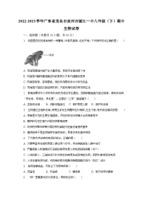 2022-2023学年广东省茂名市高州市镇江一中八年级（下）期中生物试卷（含解析）