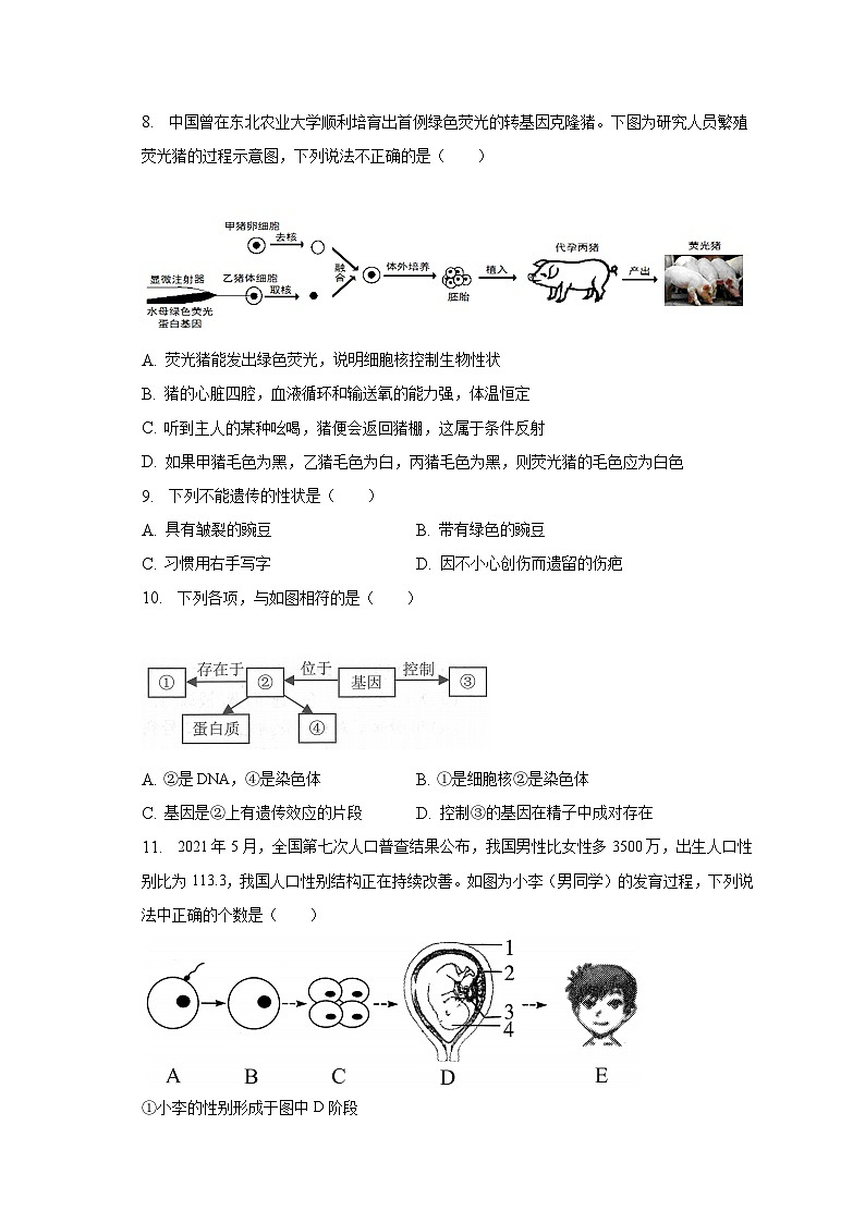 2022-2023学年广东省深圳市八年级（下）期中生物试卷（含解析）第2页