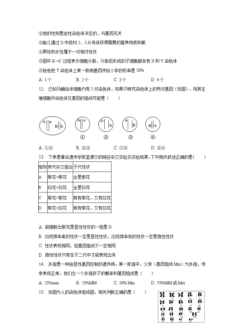 2022-2023学年广东省深圳市八年级（下）期中生物试卷（含解析）第3页