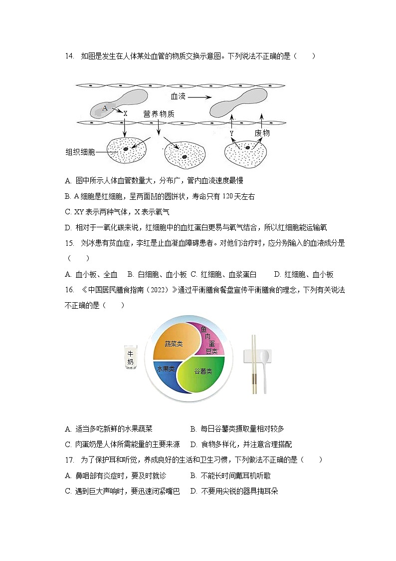 2022-2023学年河南省洛阳市偃师市七年级（下）期末生物试卷（含解析）03