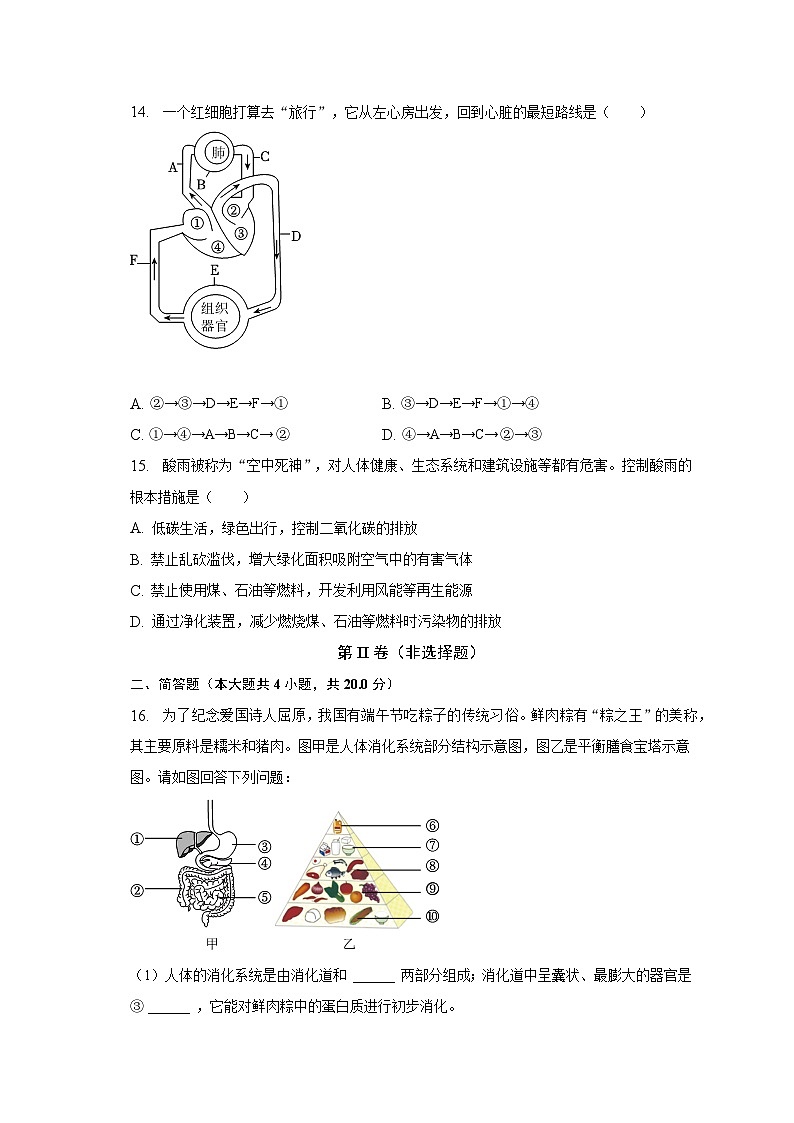 2022-2023学年辽宁省大连市七年级（下）期末生物试卷（含解析）03