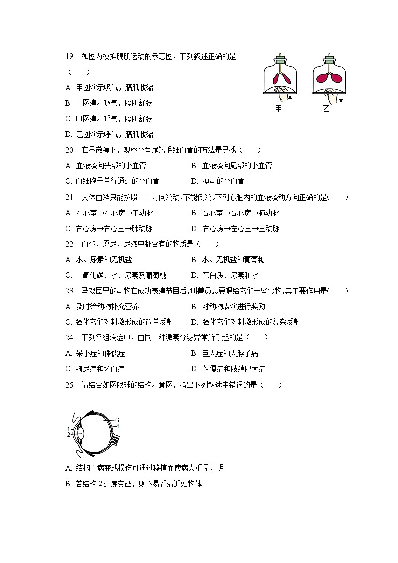 2022-2023学年山东省德州市乐陵市七年级（下）期末生物试卷（含解析）03