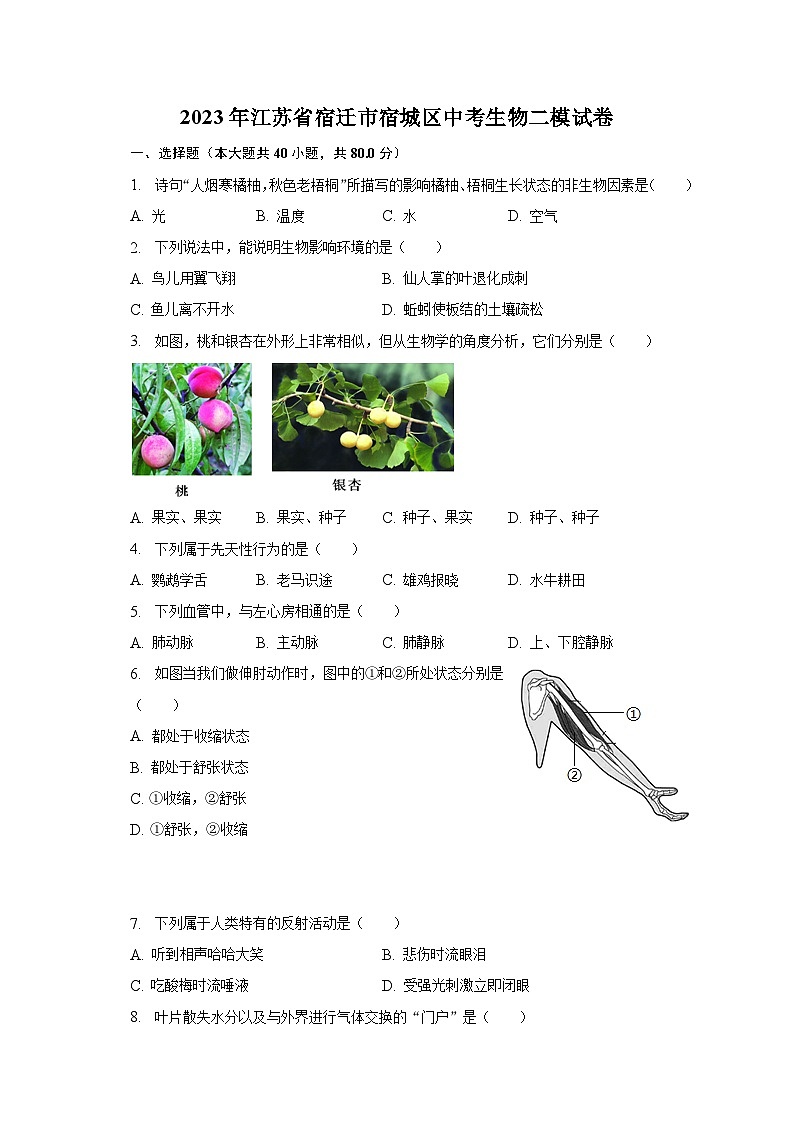 2023年江苏省宿迁市宿城区中考生物二模试卷（含解析）01