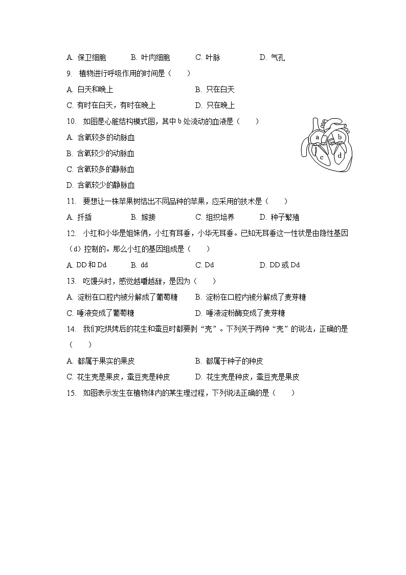 2023年江苏省宿迁市宿城区中考生物二模试卷（含解析）02