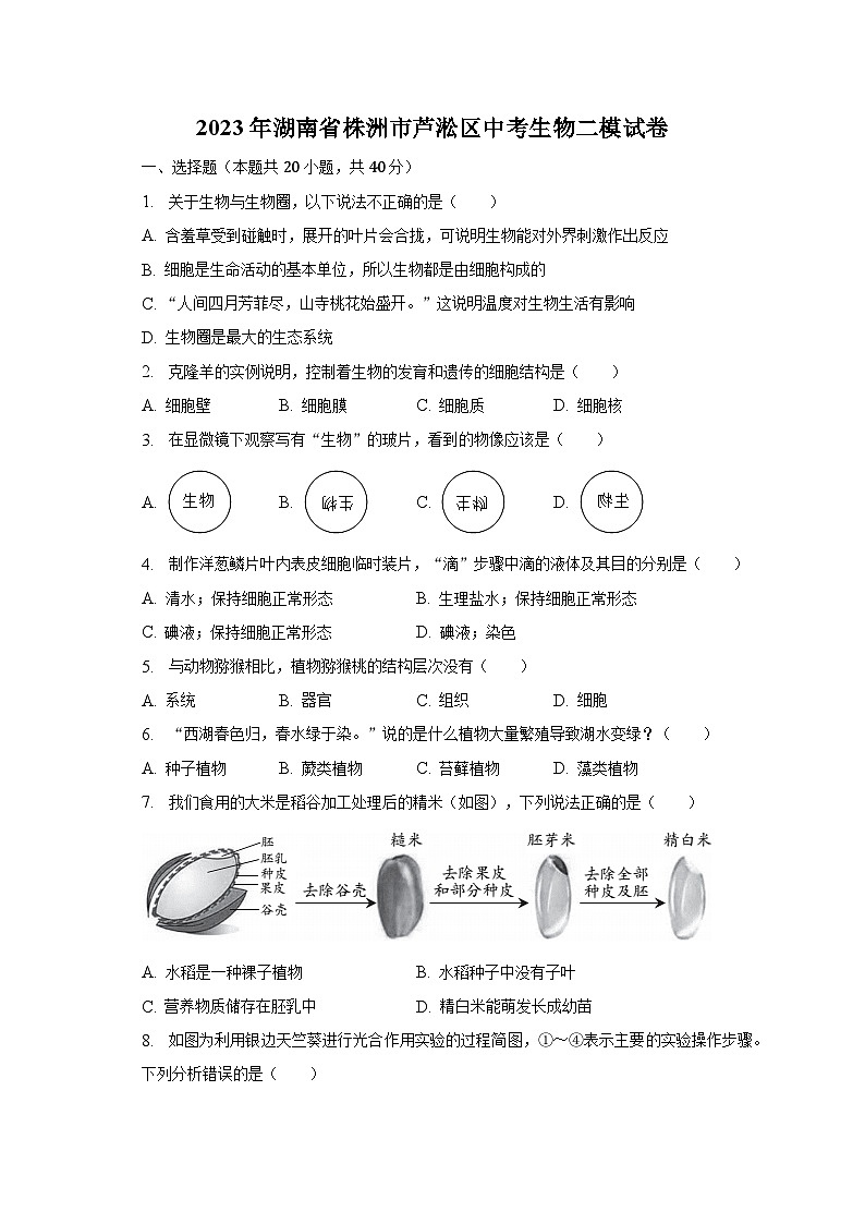 2023年湖南省株洲市芦淞区中考生物二模试卷（含解析）01