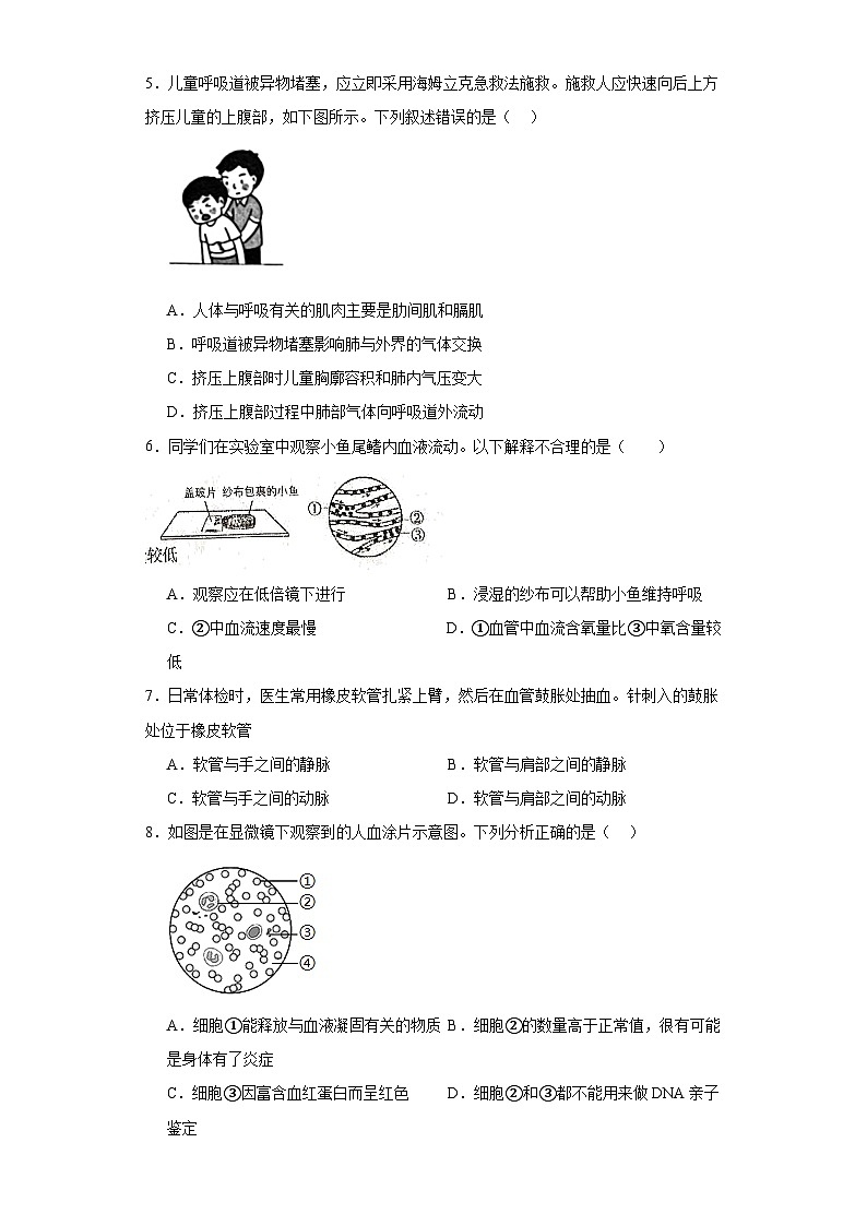 山东省济南市高新区2022-2023学年七年级下学期期末生物试题（含答案）02