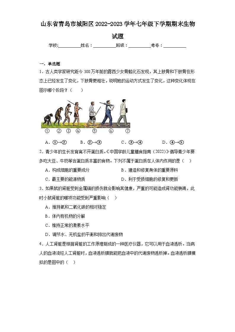 山东省青岛市城阳区2022-2023学年七年级下学期期末生物试题（含答案）01