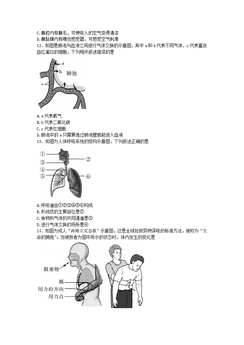 广东省河源市紫金县2022-2023学年七年级下学期期末考试生物试题（含答案）03