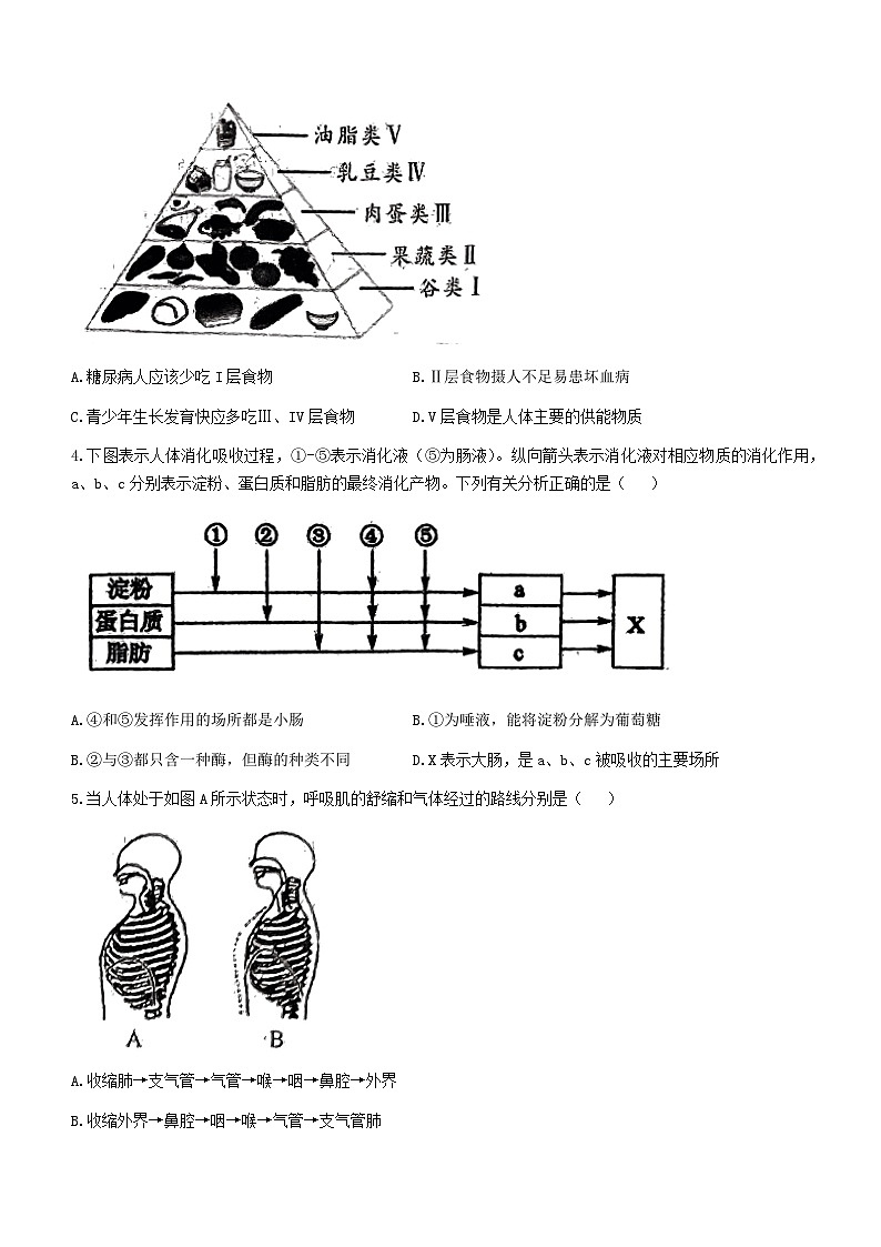 山东省德州市平原县2022-2023学年七年级下学期期末生物试题（含答案）02