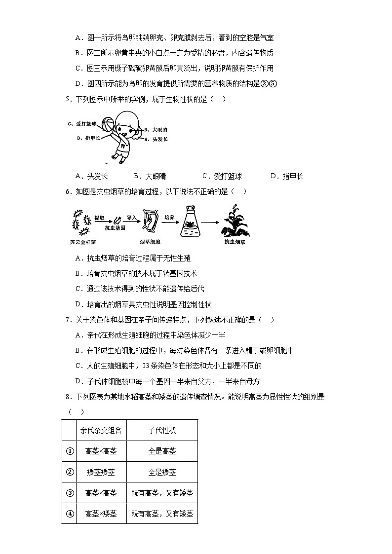 山西省临汾市尧都区2022-2023学年八年级下学期期末生物试题（含答案）第2页