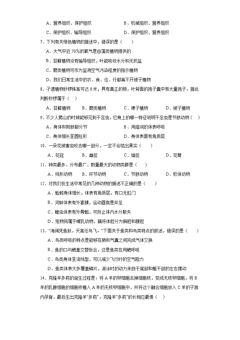 宁夏银川市第十五中学2022-2023学年七年级下学期期末生物试题（含答案）02