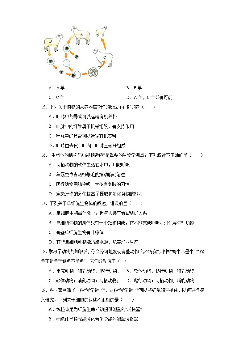 宁夏银川市第十五中学2022-2023学年七年级下学期期末生物试题（含答案）03
