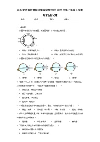 山东省济南市钢城区实验学校2022-2023学年七年级下学期期末生物试题（含答案）