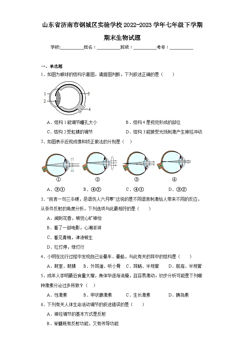 山东省济南市钢城区实验学校2022-2023学年七年级下学期期末生物试题（含答案）01
