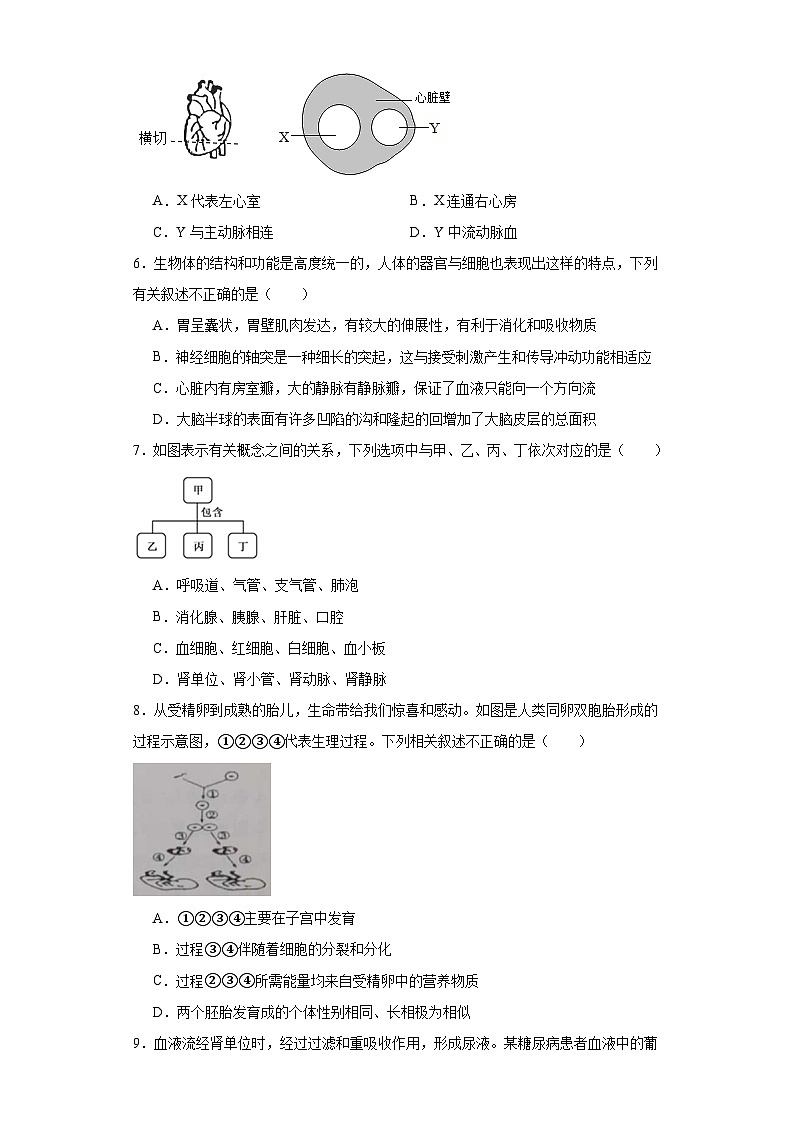 山东省日照市东港区2022-2023学年七年级下学期期末生物试题（含答案）02