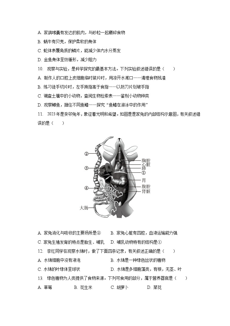 2022-2023学年江苏省连云港市灌南县七年级（下）期末生物试卷（含解析）第3页
