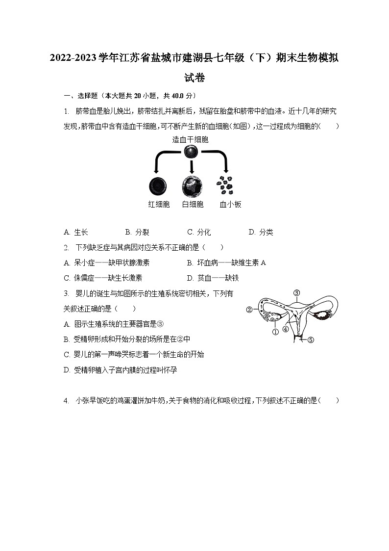 2022-2023学年江苏省盐城市建湖县七年级（下）期末生物模拟试卷（含解析）01