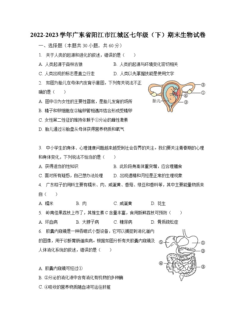 2022-2023学年广东省阳江市江城区七年级（下）期末生物试卷（含解析）第1页