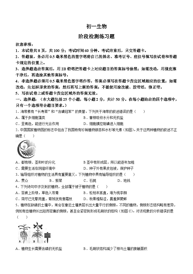 山东省烟台市芝罘区2022-2023学年六年级下学期期末生物试题（含答案）01
