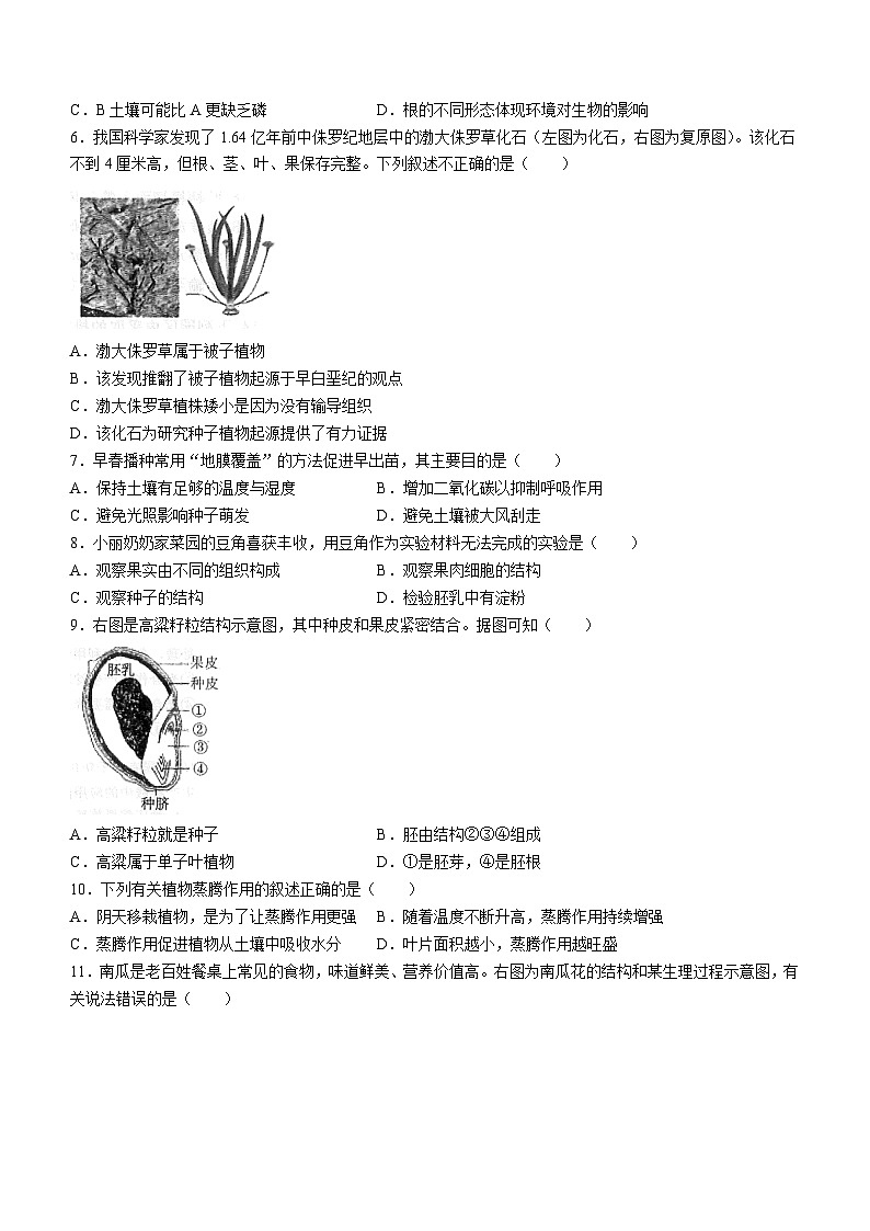 山东省烟台市芝罘区2022-2023学年六年级下学期期末生物试题（含答案）02