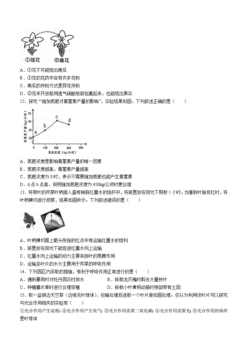 山东省烟台市芝罘区2022-2023学年六年级下学期期末生物试题（含答案）03