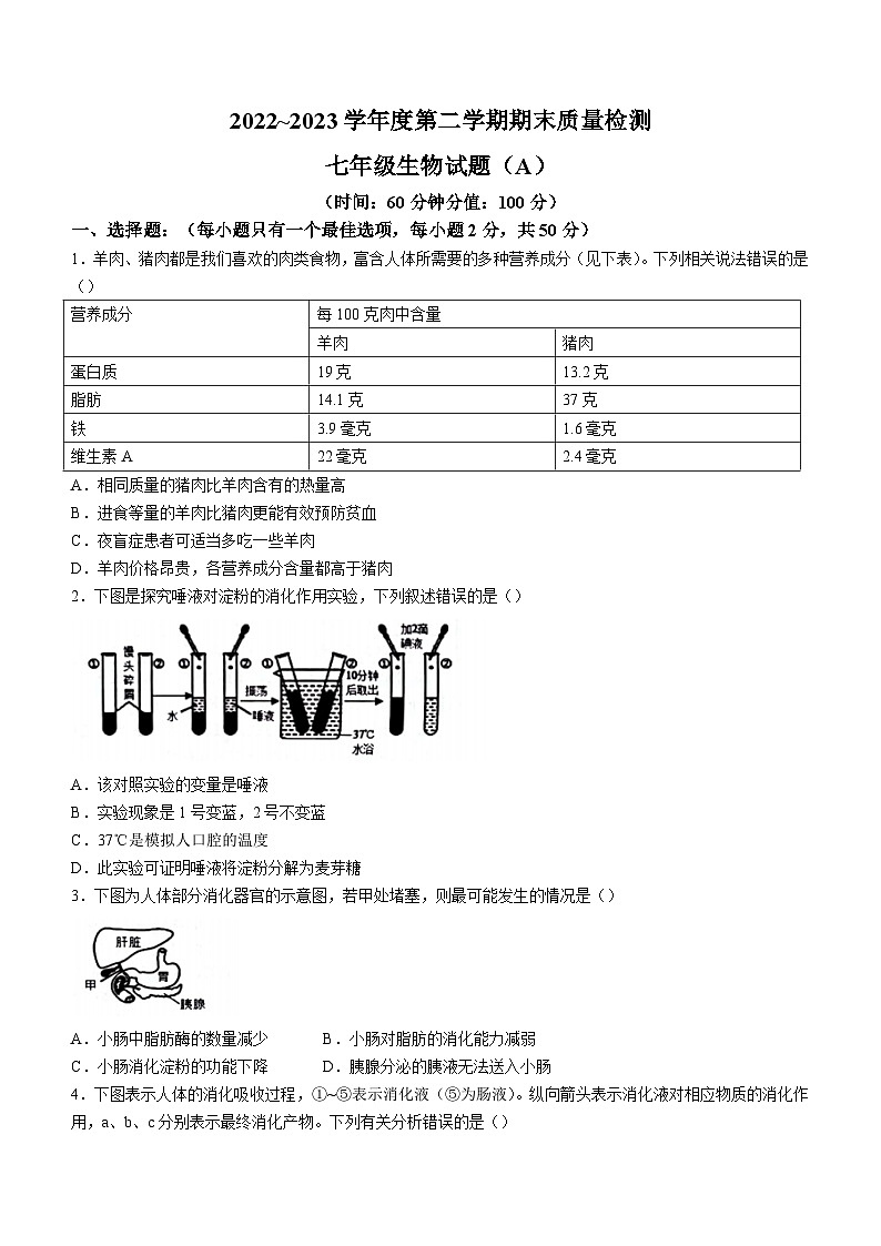 山东省滨州市滨城区2022-2023学年七年级下学期期末生物试题（含答案）01