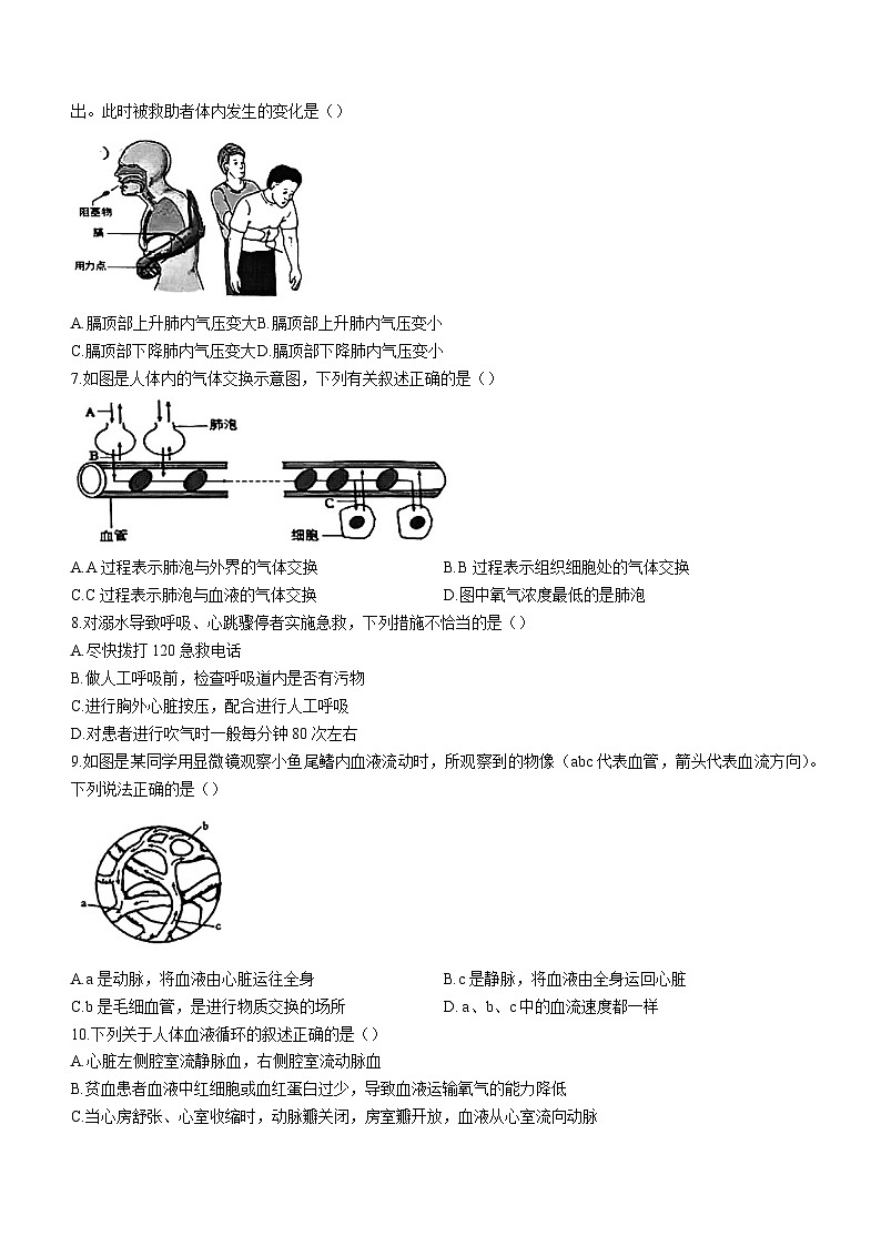 山东省济南市历下区2022-2023学年七年级下学期期末生物试题（含答案）02