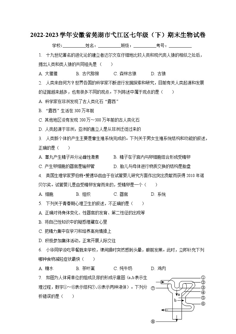安徽省芜湖市弋江区2022-2023学年七年级下学期期末生物试卷（含答案）01
