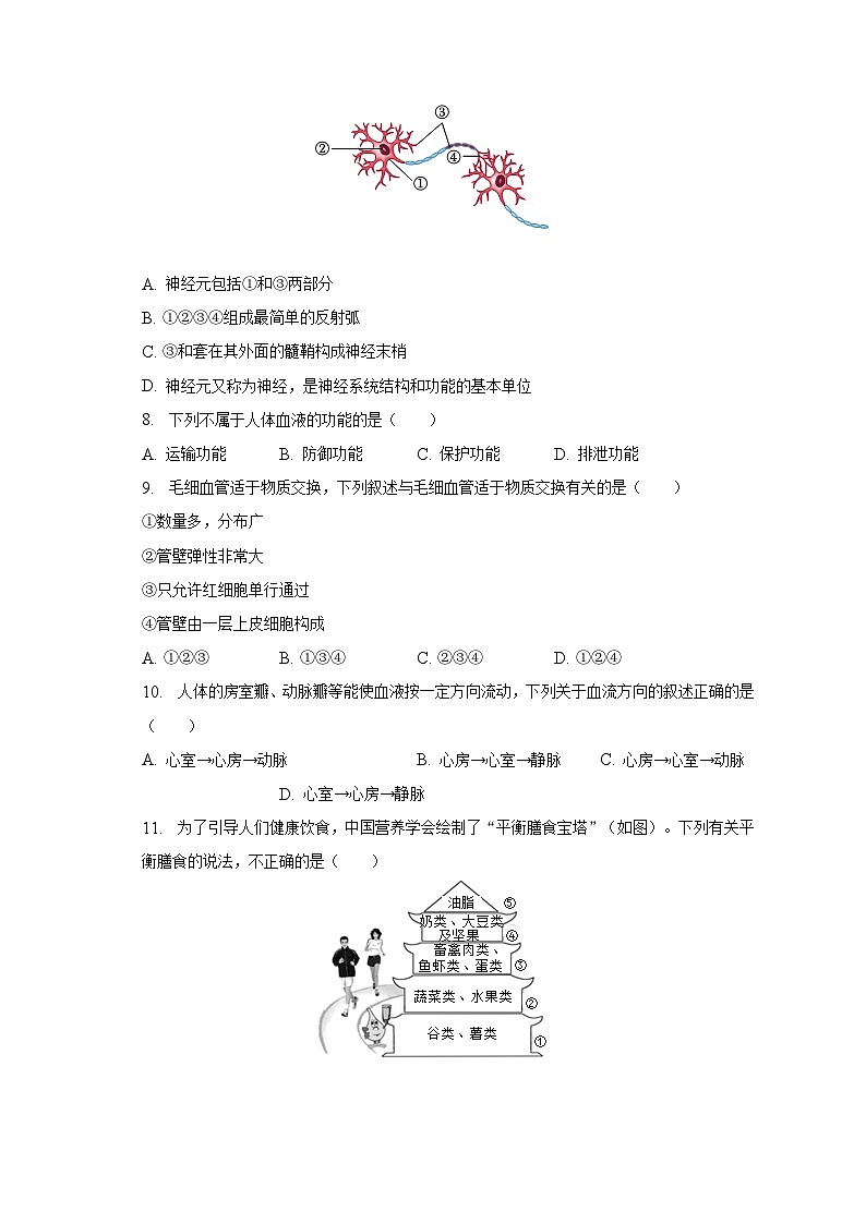 河北省邯郸市广平县2022-2023学年七年级下学期期末生物试卷（含答案）第2页