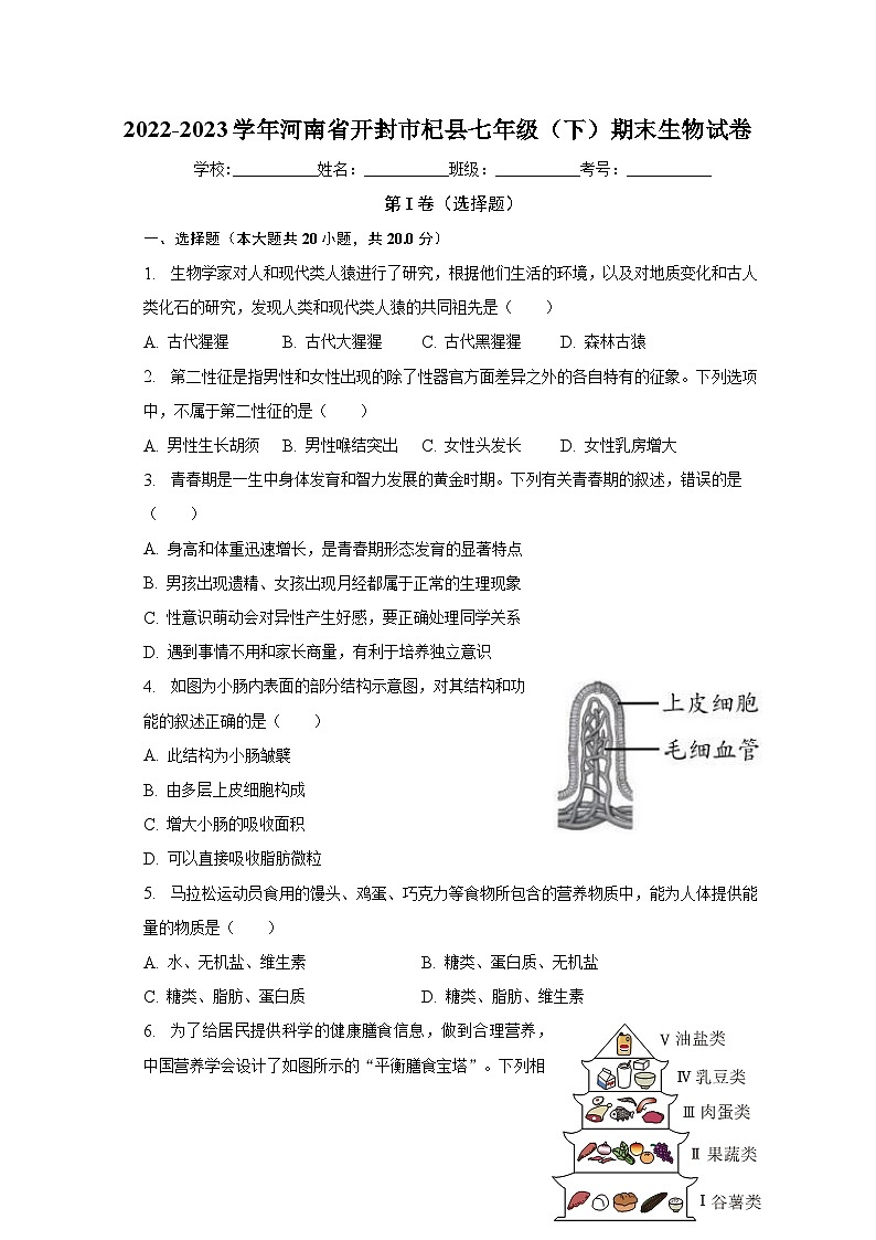 河南省开封市杞县2022-2023学年七年级下学期期末生物试卷（含答案）第1页
