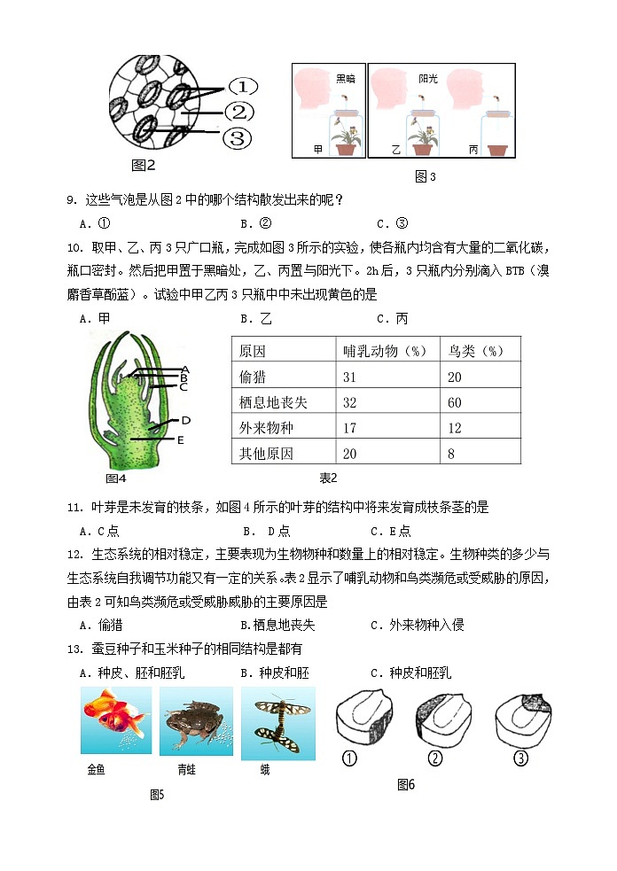 8年级生物第2页