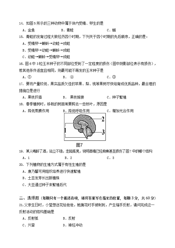 8年级生物第3页