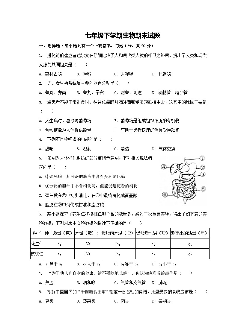 吉林省长春市榆树市慧望初级中学2022-2023学年七年级下学期期末生物试题（含答案）01