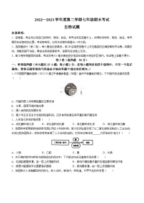 山东省济南市商河县2022-2023学年七年级下学期期末生物试题（含答案）