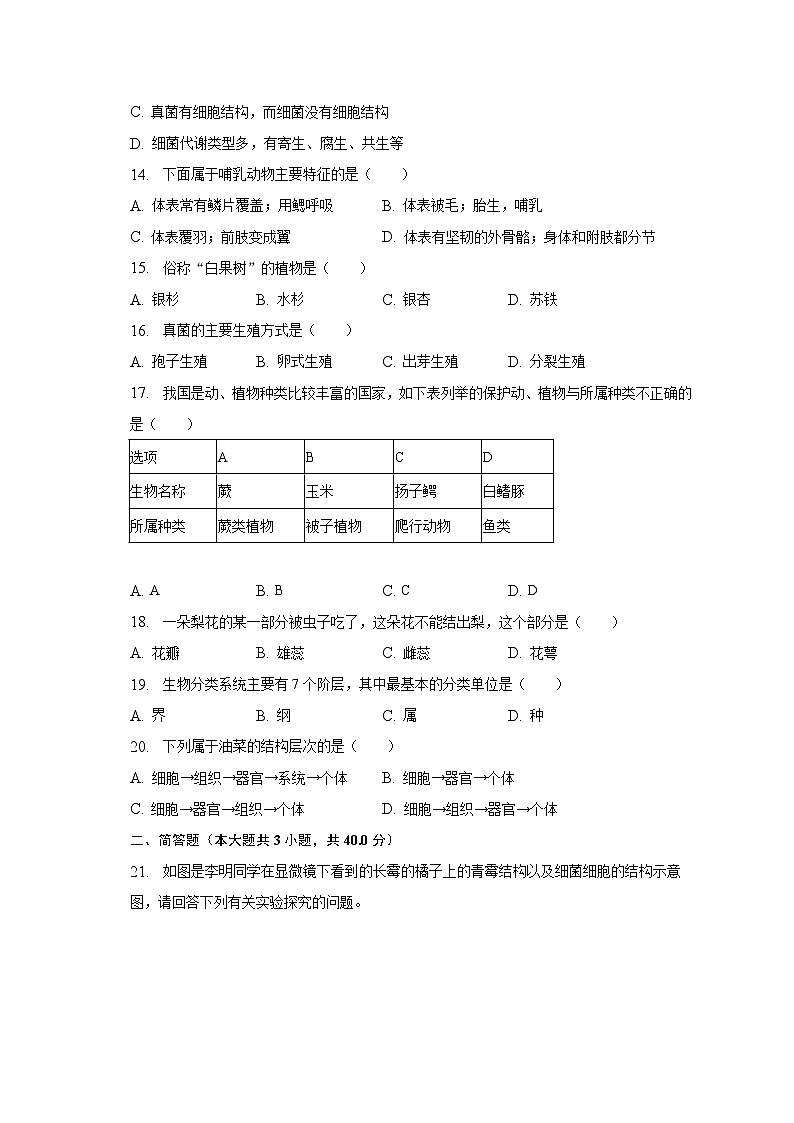 2022-2023学年宁夏吴忠市同心县韦州中学七年级（下）期末生物试卷（含解析）03