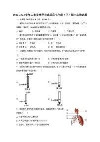 2022-2023学年山东省菏泽市成武县七年级（下）期末生物试卷（含解析）