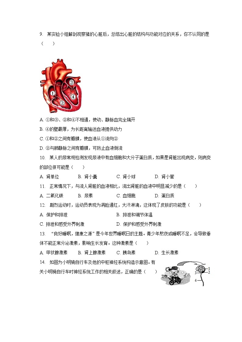 2022-2023学年山东省菏泽市成武县七年级（下）期末生物试卷（含解析）第3页